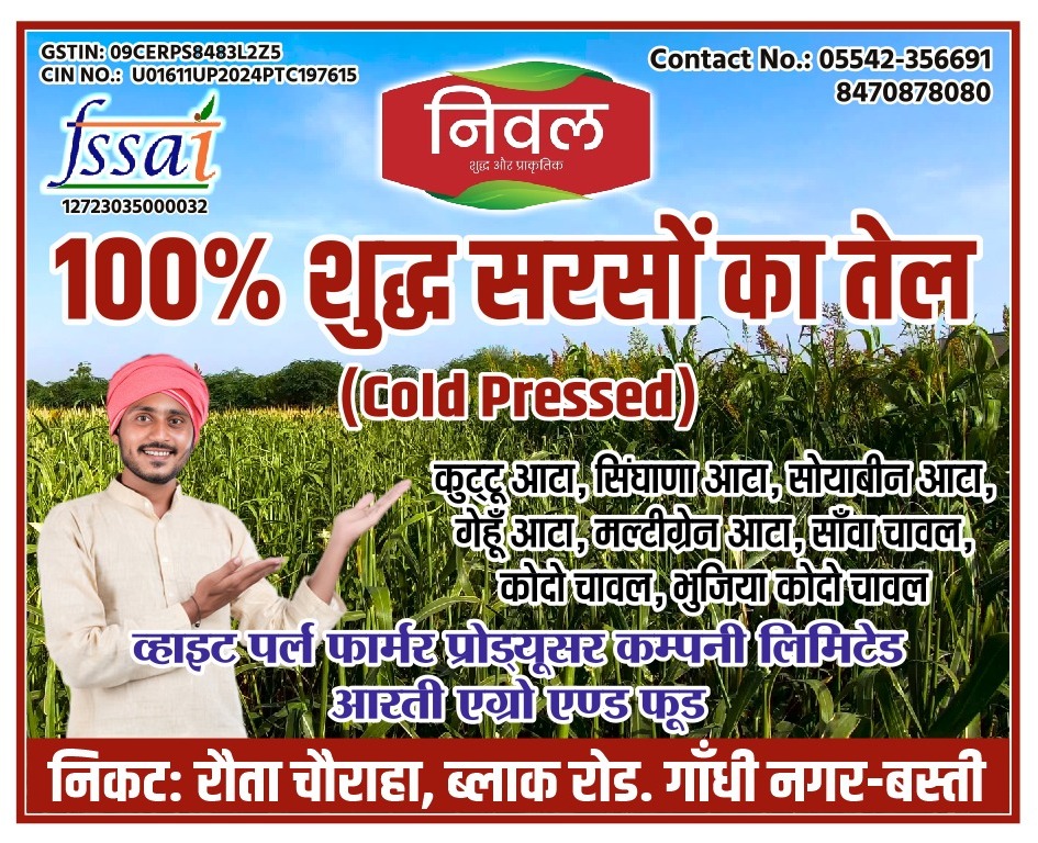 Vrat special - fasting foods